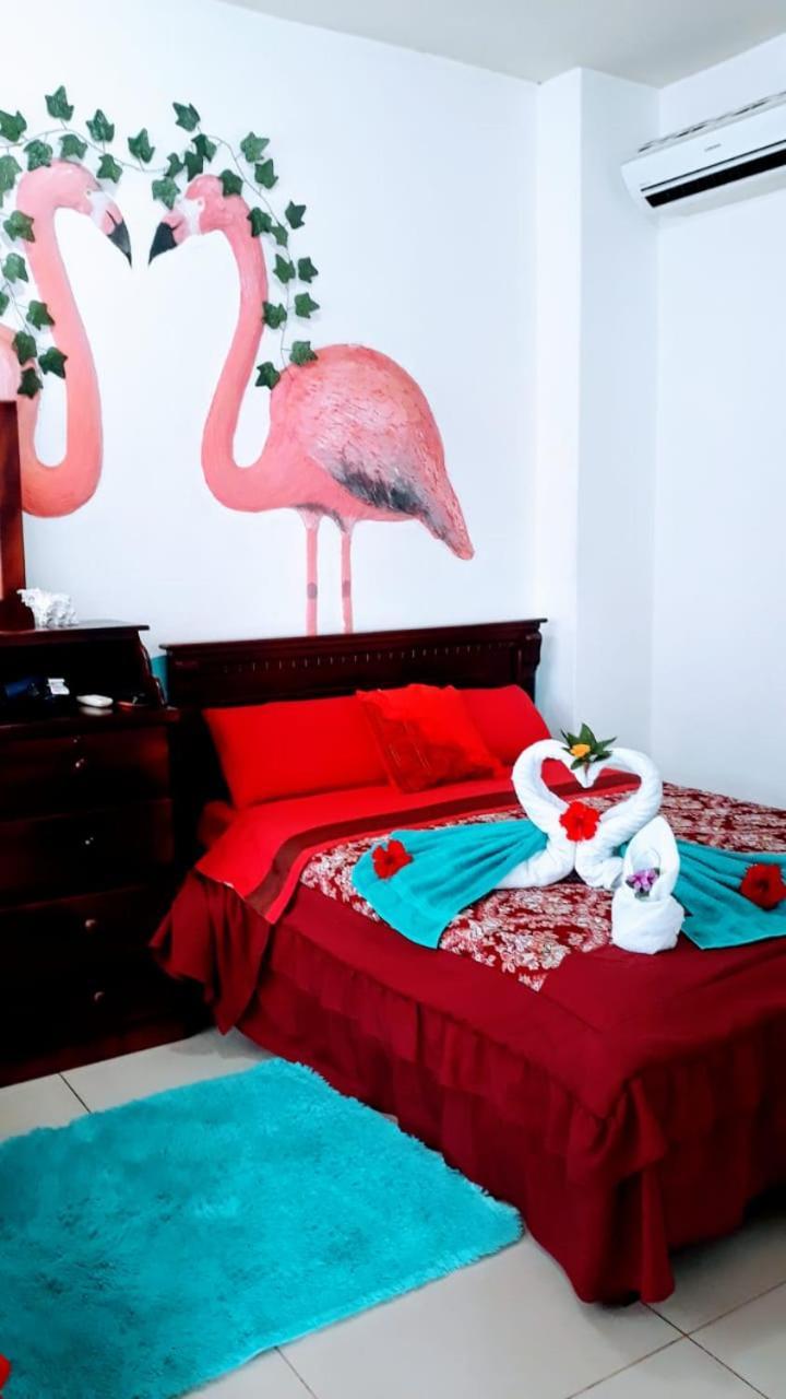 Suite Galarous Island Puerto Ayora  Buitenkant foto