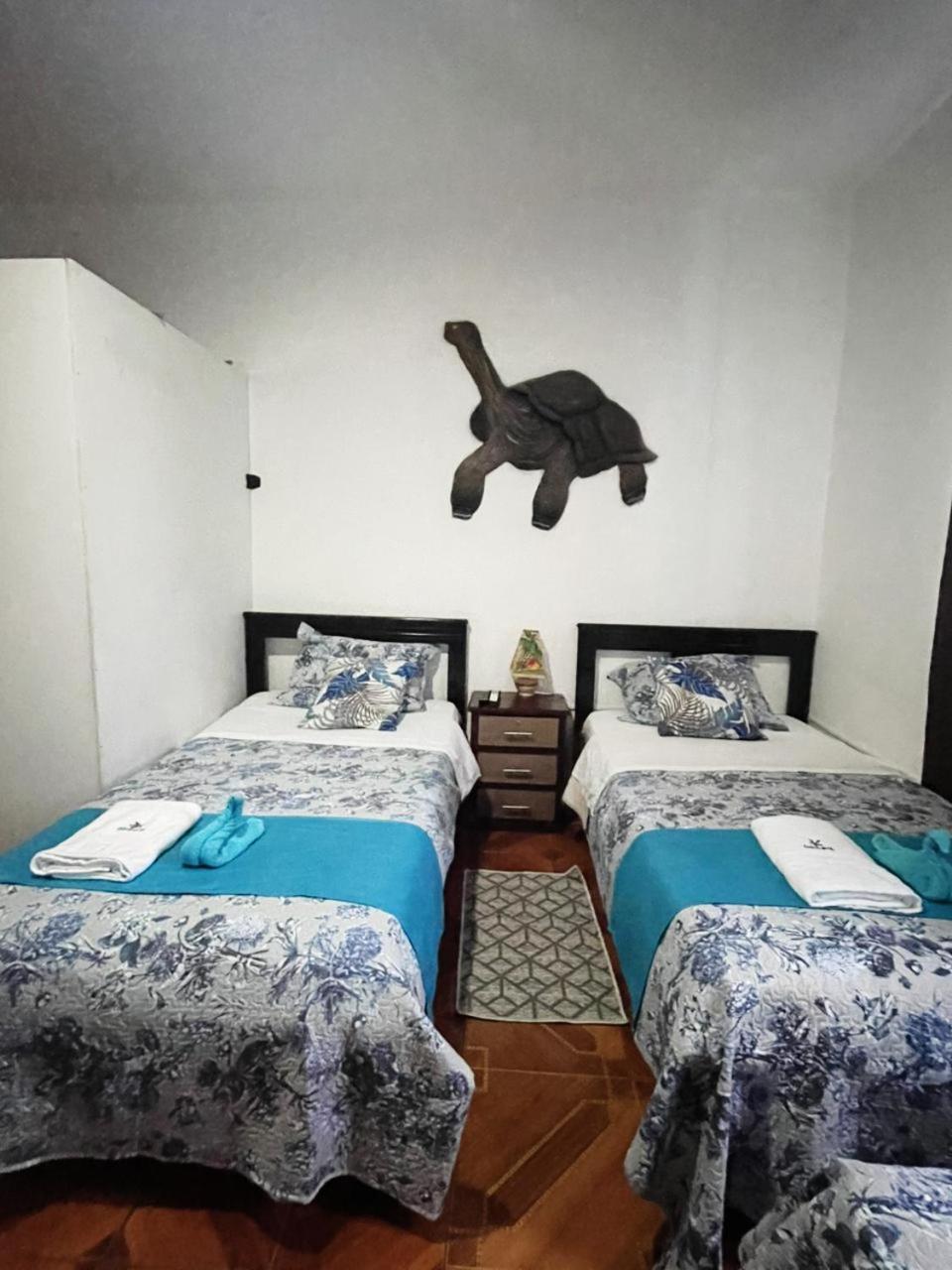 Suite Galarous Island Puerto Ayora  Buitenkant foto